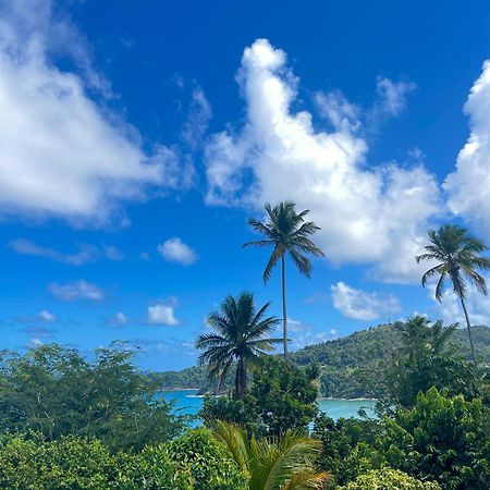 Happy Nest Dominica Hotel Marigot Екстериор снимка