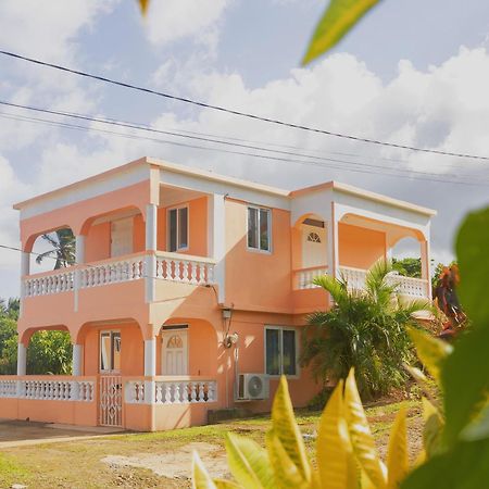 Happy Nest Dominica Hotel Marigot Екстериор снимка