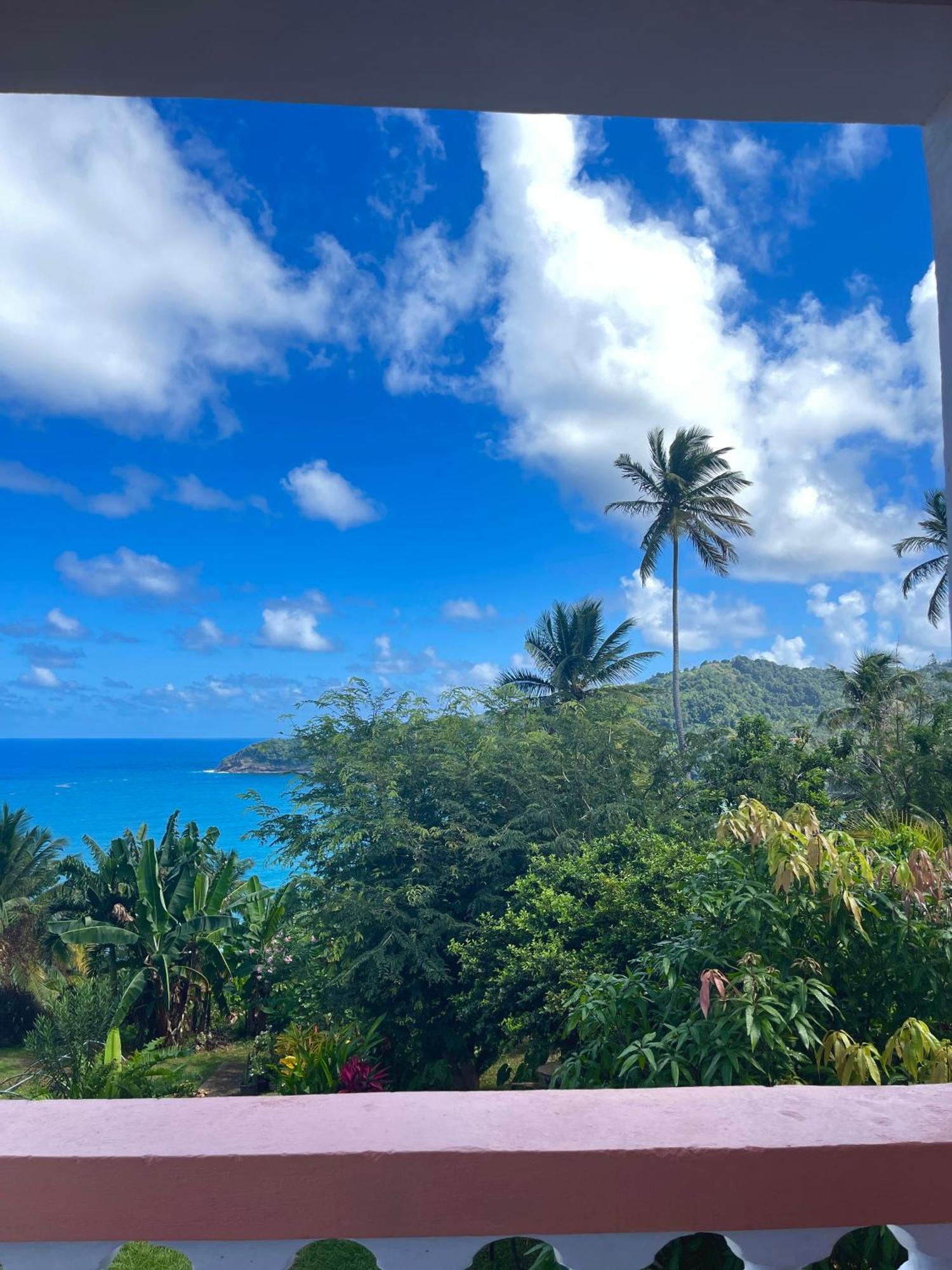 Happy Nest Dominica Hotel Marigot Екстериор снимка