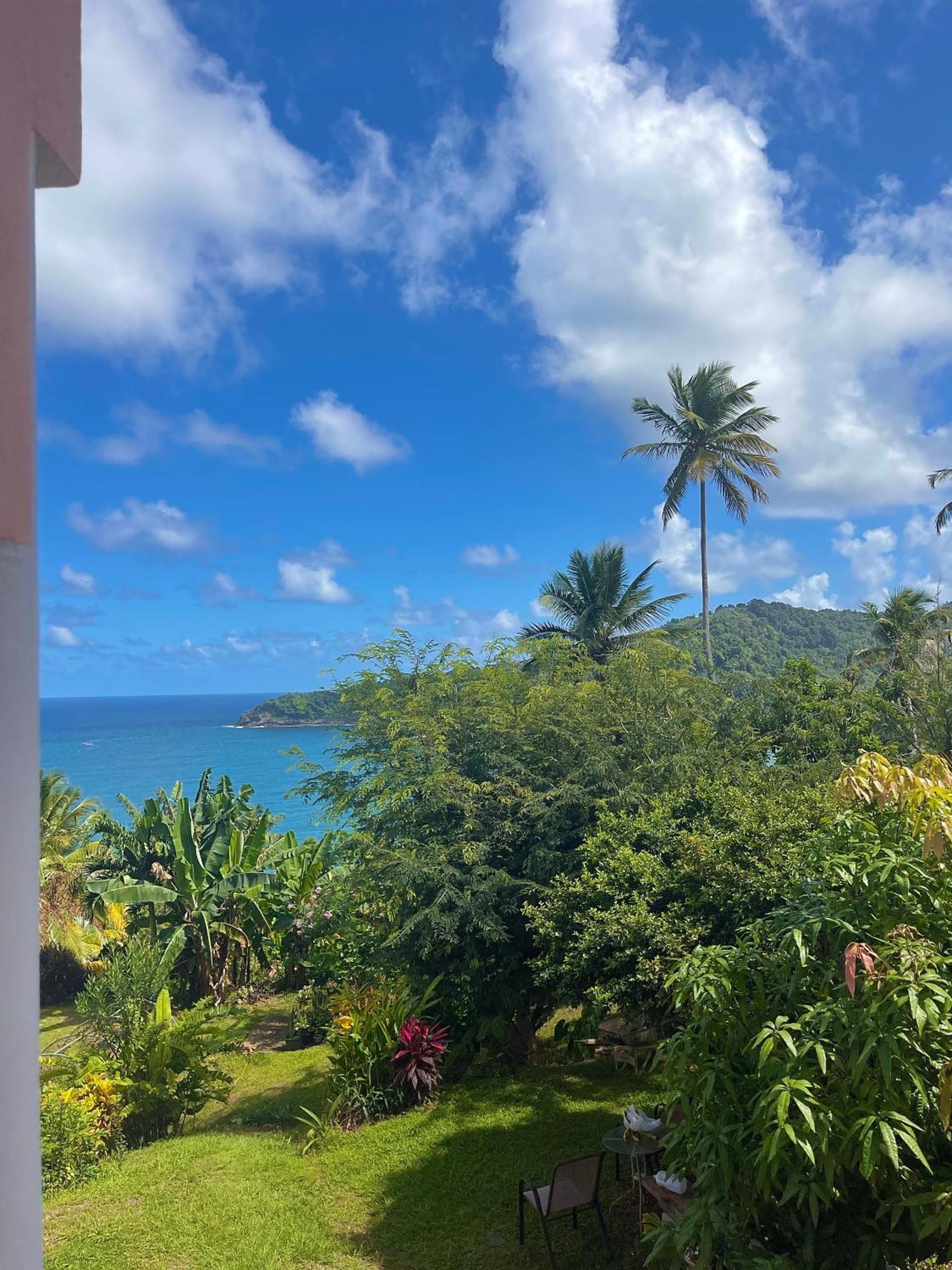 Happy Nest Dominica Hotel Marigot Екстериор снимка