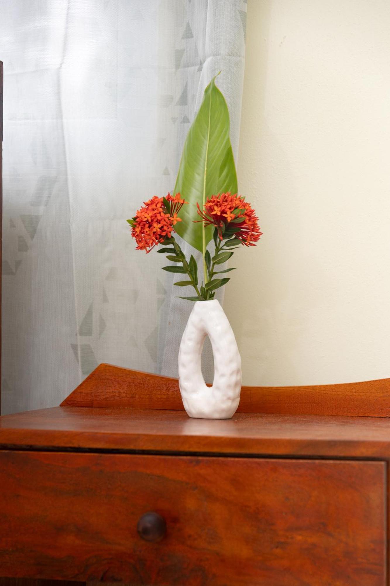 Happy Nest Dominica Hotel Marigot Екстериор снимка